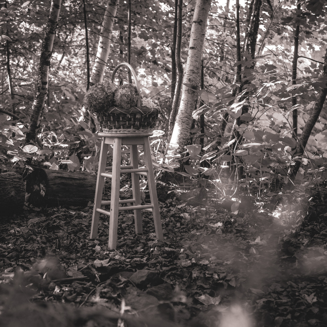 Service Conseil Horticulture